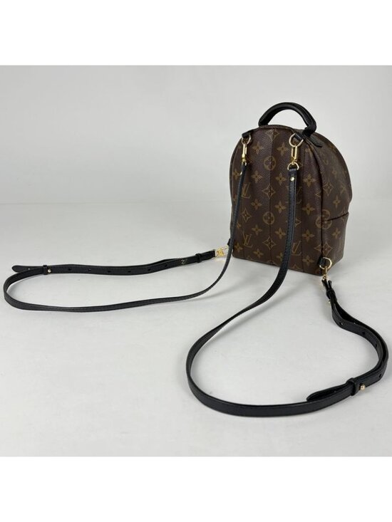 Louis Vuitton Palm Spring Backpack Mini Monogram Brown Black main image 6